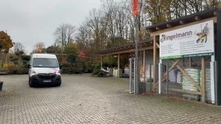 UPDATE - Der Baum 🌳 ist gefunden. Los geht's zur Baumlocation...#würzburg #fliesenleger #fliesenlegerwürzburg #fliesenzorn #margetshöchheim #leinach #fliesenlegerfachbetrieb #zellammain #baumpflanzchallenge