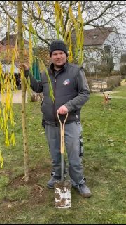 UPDATE - Der Baum ist gepflanzt und die nächsten Kandidaten nominiert.Baumpflanzchallenge erledigt. 🌳☑Wir haben die Challenge von Herrlein Sanitär - Heizung erhalten und erfolgreich abgeschlossen. 🌳💪🏼Somit können wir die Nominierung zur Baumpflanzchallenge an die nächsten 3 Kandidaten weitergeben, die uns bei Nichterfüllung der Challenge binnen einer Woche eine ordentliche Brotzeit schulden.
🧀🥪🥗🍞Die Nominierungen gehen an:
Bayer Sanitär- und Heiztechnik❗️
Busch Elektrotechnik❗️
Peter Jungklaus❗️Wir wünschen euch viel Erfolg bei der Baumpflanzchallenge 🌳Vielen dank auch an GartenBaumschule Inh. Arthur Ringelmann für die schnelle Hilfe und die gute Beratung.Dem Spatzennest der AWO Unterfranken wünschen wir viel Freude und den Kindern in Zukunft stets ein schattiges Plätzchen.Der Beitrag darf gerne geteilt werden 😃Euer Team von Fliesen Zorn GmbH#würzburg #fliesenleger #fliesenlegerwürzburg #fliesenzorn #margetshöchheim #leinach #fliesenlegerfachbetrieb #zellammain #baumpflanzchallenge